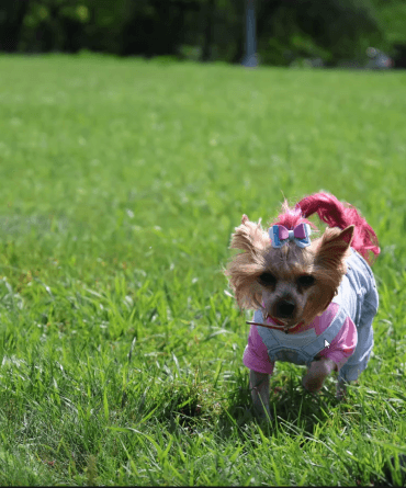 Экран занятия с работой ученика и комментариями наставника
